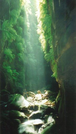 The immense beauty and depth of Claustral Canyon